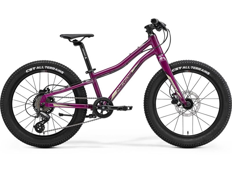 Merida Matts J.20+ Purple click to zoom image