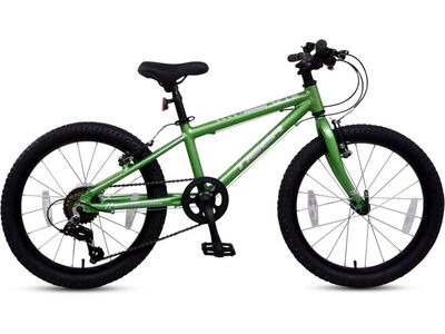 Tiger Beat 20" Youth Junior Bike Green