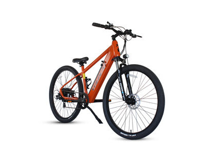 Wildcat Panther 29er. Powerful 48V/250W E-bike with Twist and Go