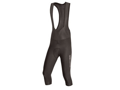 Endura FS260-Pro Thermo Bibknicker