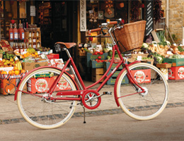 Traditional Ladies Bikes